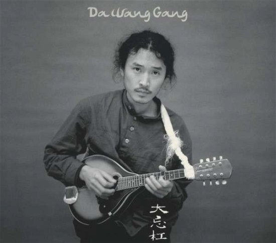 Cover for Da Wang Rang · Wild Tune Stray Rhythm (CD) (2013)