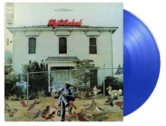 Taj Mahal (180g) (Limited-Numbered-Edition) (Translucent Blue Vinyl) - Taj Mahal - Musikk - MUSIC ON VINYL - 4251306105227 - 7. desember 2018