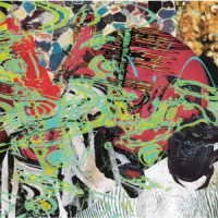Cover for Merzbow · Beetle (CD) [Japan Import edition] (2022)
