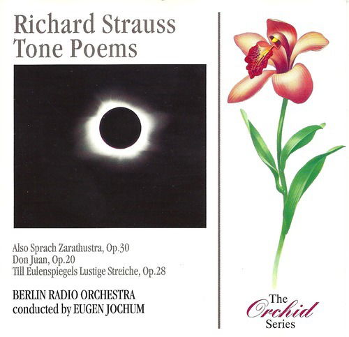 Strauss-tone Poems - Richard Strauss - Música - Orchid - 5020840303227 - 