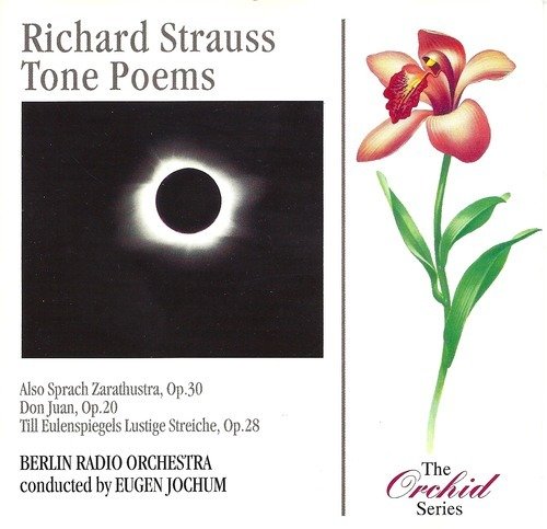 Strauss-tone Poems - Richard Strauss - Musikk - Orchid - 5020840303227 - 