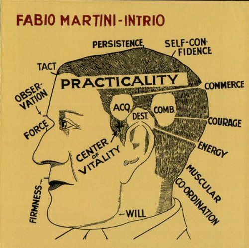 Cover for Fabio -Trio- Martini · Practically (CD) (2011)