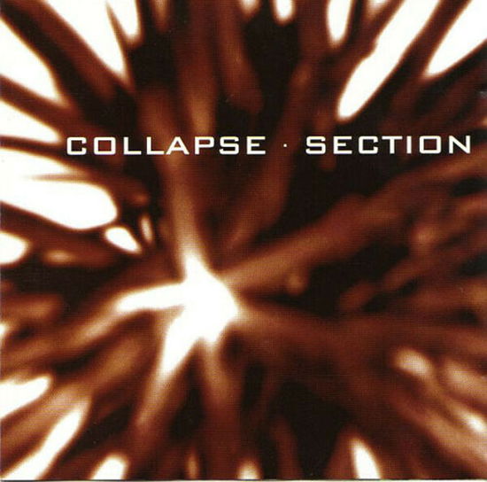 Section - Collapse  - Muzyka -  - 8016670739227 - 