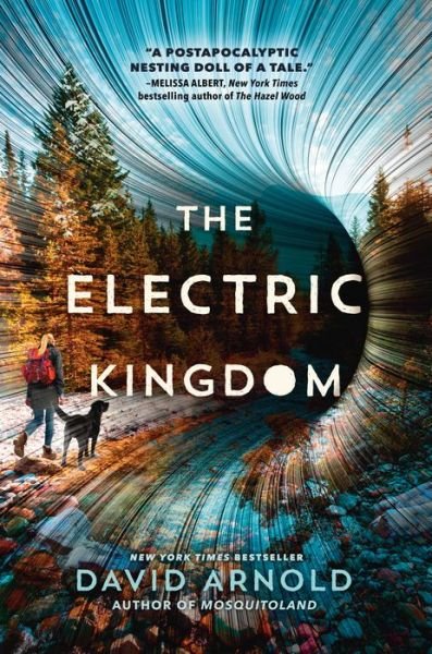 Cover for David Arnold · The Electric Kingdom (Gebundenes Buch) (2021)