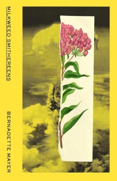 Cover for Bernadette Mayer · Milkweed Smithereens (Paperback Book) (2022)