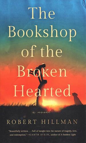 Cover for Robert Hillman · The Bookshop of the Broken Hearted (Hardcover Book) (2019)