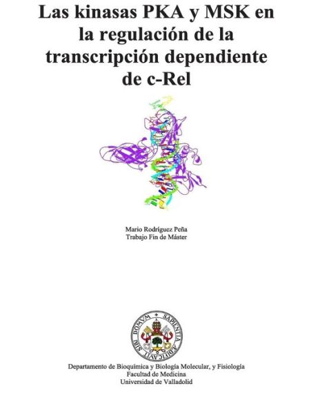 Cover for Mario Rodriguez Pena · Las Kinasas Pka Y Msk en La Regulacion De La Transcripcion Dependiente De C-rel (Taschenbuch) (2010)