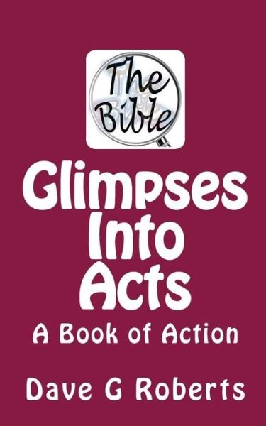 Cover for Dave G Roberts · Glimpses into Acts: a Book of Action (Paperback Bog) (2015)