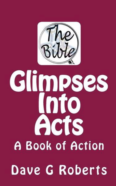 Glimpses into Acts: a Book of Action - Dave G Roberts - Bücher - Createspace - 9781515119227 - 22. Juli 2015