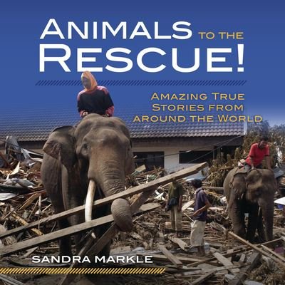 Cover for Sandra Markle · Animals to the Rescue! (Hardcover Book) (2021)