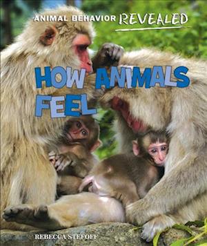 Cover for Rebecca Stefoff · How Animals Feel (Book) (2013)