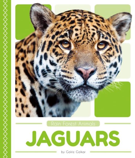 Cover for Golriz Golkar · Rain Forest Animals: Jaguars (Paperback Book) (2018)