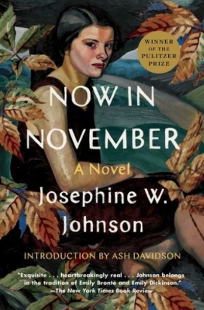 Cover for Josephine Johnson · Now in November: A Novel (Paperback Book) (2022)