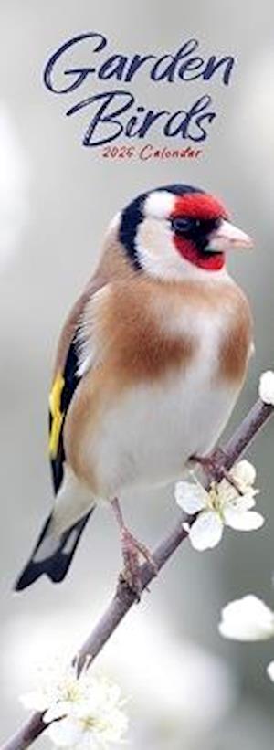 Cover for Garden Birds Slim Calendar 2026  Bird Slimline Calendar - 12 Month (Calendar) (2025)