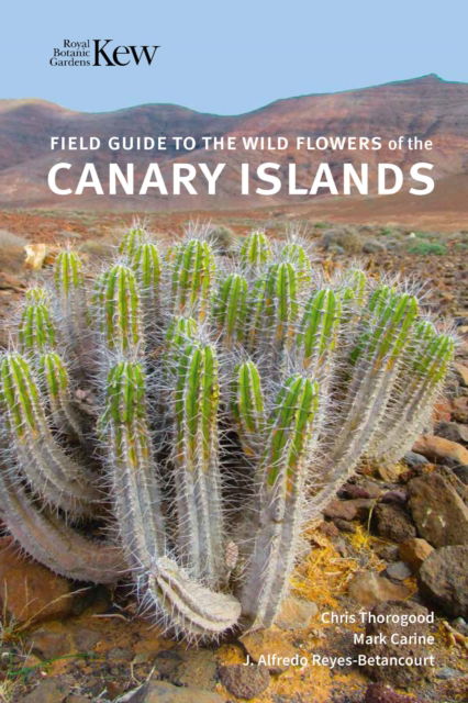 Cover for Chris Thorogood · Field Guide to the Wild Flowers of the Canary Islands (Taschenbuch) (2025)