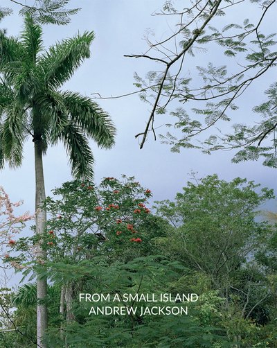Cover for John Doe · From a Small Island: Andrew Jackson (Taschenbuch) (2018)