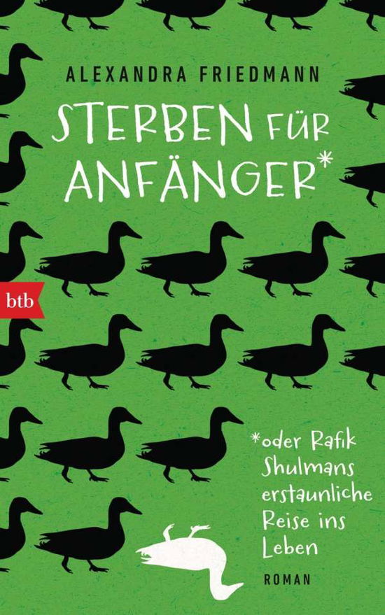 Cover for Friedmann · Sterben für Anfänger oder Raf (Buch)