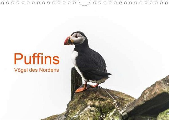 Cover for Jacob · Puffins - Vögel des Nordens (Wand (Bog)