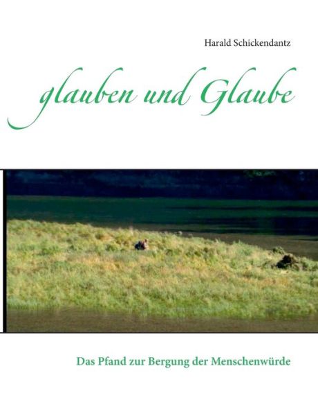Cover for Harald Schickendantz · Glauben Und Glaube (Paperback Book) (2015)