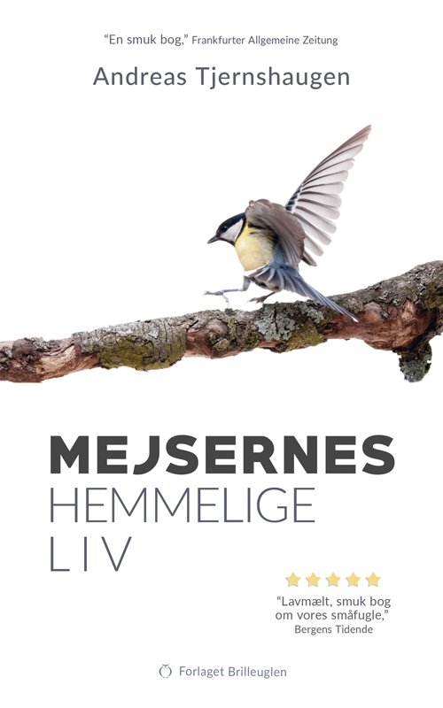 Cover for Andreas Tjernshaugen · Mejsernes hemmelige liv (Heftet bok) (2023)