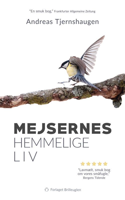 Mejsernes hemmelige liv - Andreas Tjernshaugen - Bøker - Forlaget Brilleuglen - 9788794203227 - 23. november 2023