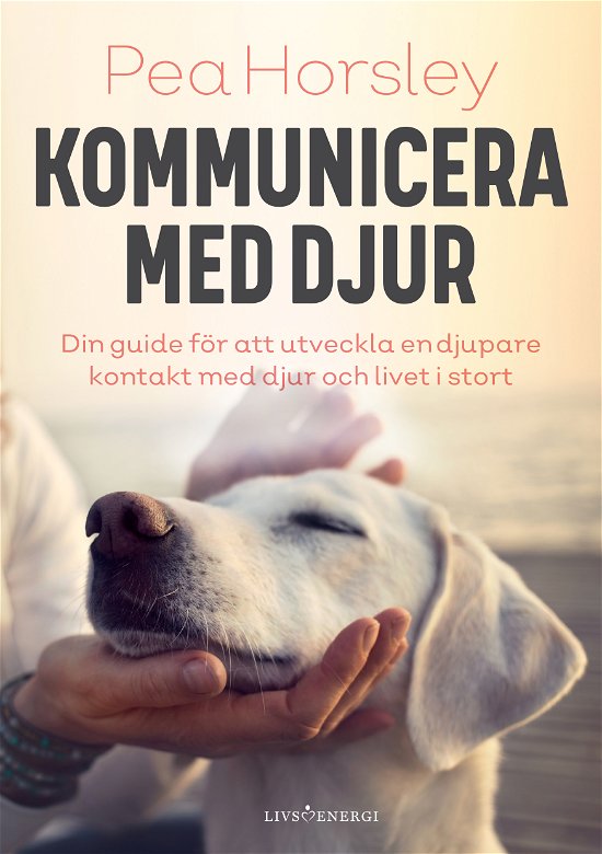 Cover for Pea Horsley · Kommunicera med djur (Gebundesens Buch) (2023)