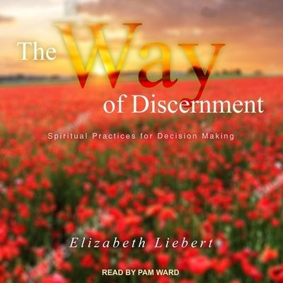 Cover for Elizabeth Liebert · The Way of Discernment (CD) (2020)