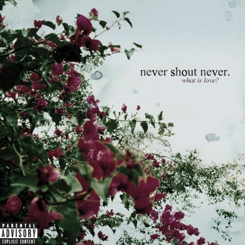 Cover for Never Shout Never · What Is Love? (CD) (2010)