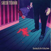 Cover for Sheer Terror · Standing Up for Falling Down (CD) (2014)