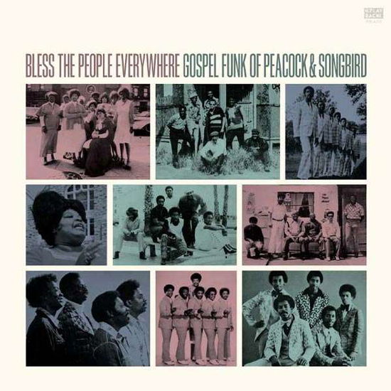 Bless the People / Various (CD) (2017)