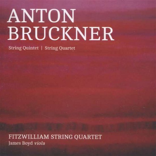 Bruckner: String Quintet / String Quartet - Fitzwilliam String Quartet - Musiikki - Linn Records - 0691062040228 - perjantai 9. lokakuuta 2015