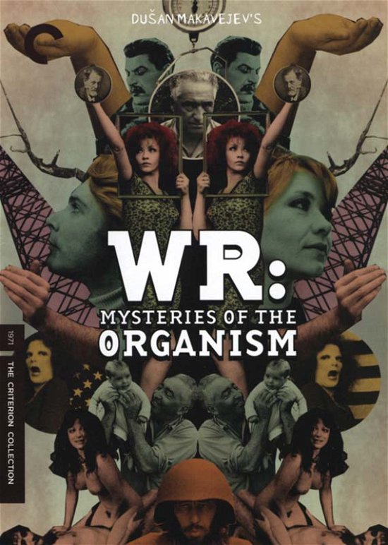 Cover for Criterion Collection · Wr - Mysteries of the / DVD (DVD) (2007)
