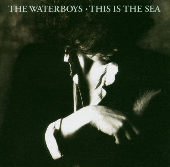 Cover for Waterboys the · This is the Sea (Rm) Dcd (CD) (2004)