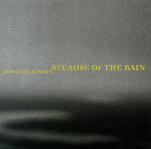 Because Of The Rain - James Wilkinson - Music - White Cloud - 0747313003228 - February 23, 1998