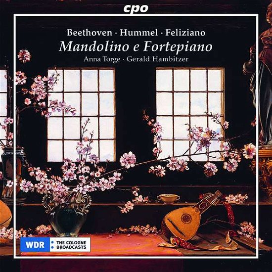 Cover for Beethoven / Torge / Hambitzer · Mandolino E Fortepiano (CD) (2019)