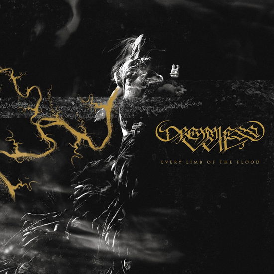 Dreamless Veil · Every Limb of the Flood (CD) (2024)