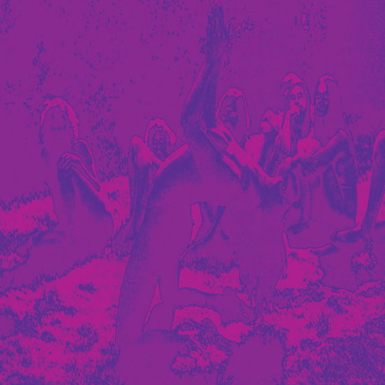 Cover for Bardo Pond · Acid Guru Pond (LP) (2025)