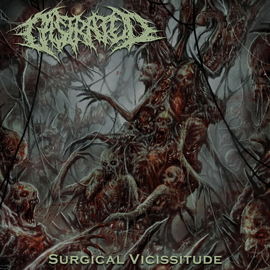 Cover for Castrated · Surgical Vicissitude (CD) (2024)