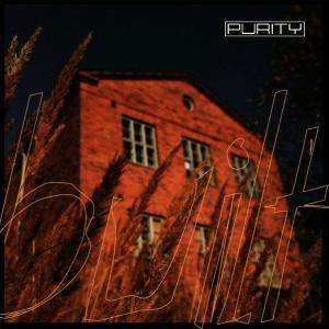 Cover for Purity · Built (CD) (2006)