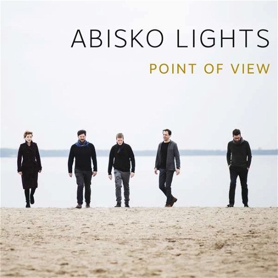 Cover for Abisko Lights · Point of View (CD) (2019)