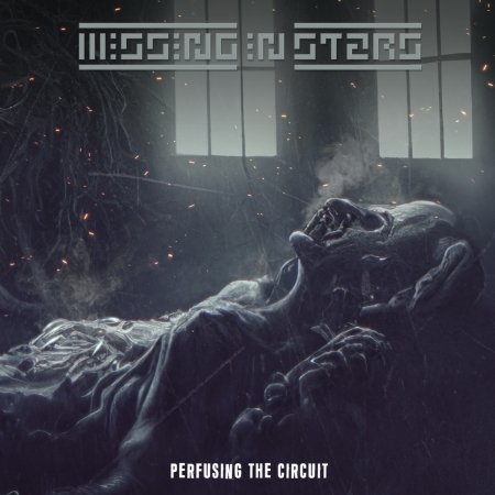 Cover for Missing In Stars · Perfusing The Circuit (CD) (2023)