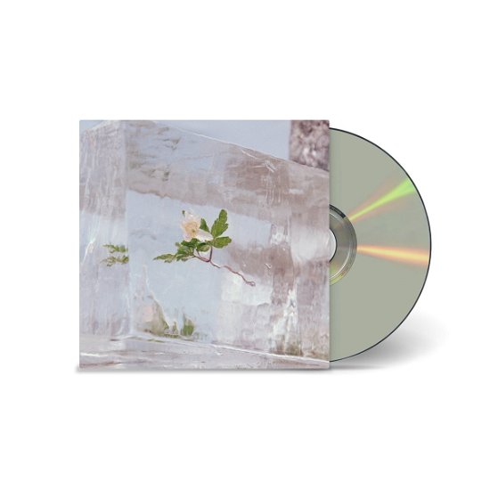 Cover for Efterklang · Windflowers (CD) (2021)
