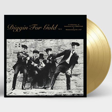 Cover for Diggin for Gold Volume 2 / Various (LP) (2018)