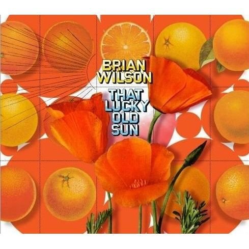 Cover for Brian Wilson · That Lucky Old Son (DVD/CD)