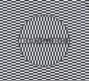 Transverse - Carter Tutti Void - Musik - MUTE - 5099932788228 - 19. marts 2012