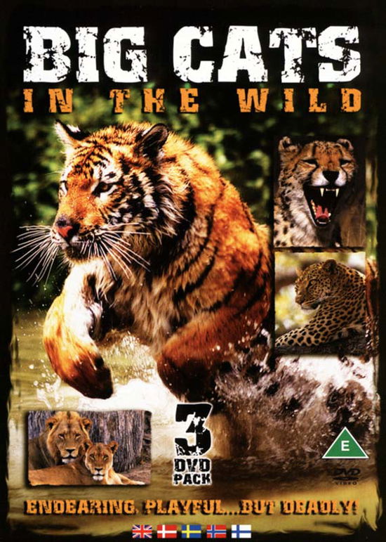 Cover for Big Cats (DVD) (2008)