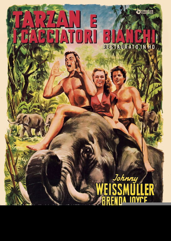 Cover for Weissmuller,Sheffield,Joyce · Tarzan E I Cacciatori Bianchi (Restaurato In Hd) (DVD) (2020)