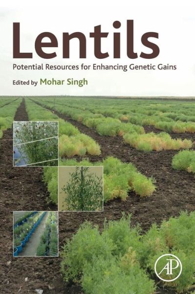Cover for Lentils: Potential Resources for Enhancing Genetic Gains (Paperback Book) (2018)