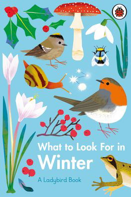 What to Look For in Every Season (A Ladybird Book) Boxset by Elizabeth Jenner