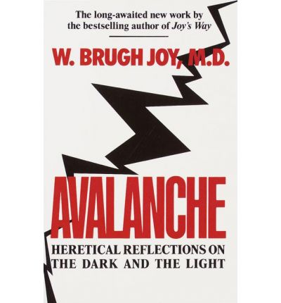 Cover for W. Brugh Joy M.d. · Avalanche: Heretical Reflections on the Dark and the Light (Paperback Book) (1992)